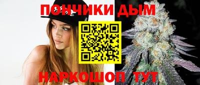 МДПВ Будённовск