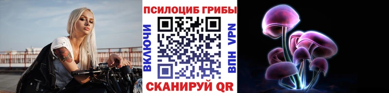 купить   omg как войти  Псилоцибиновые грибы прущие грибы  Кинешма 