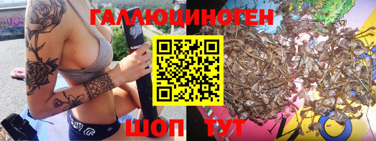 Галлюциногенные грибы Cubensis  Кинешма 