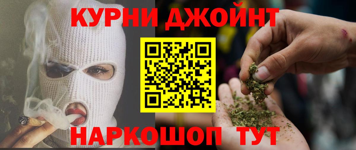 Бошки Шишки план Кинешма